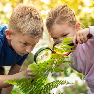 GADY - żywa lekcja przyrody w naszej szkole!